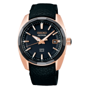 Astron Watch 